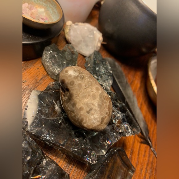 Petoskey stone - Picture 3 of 4